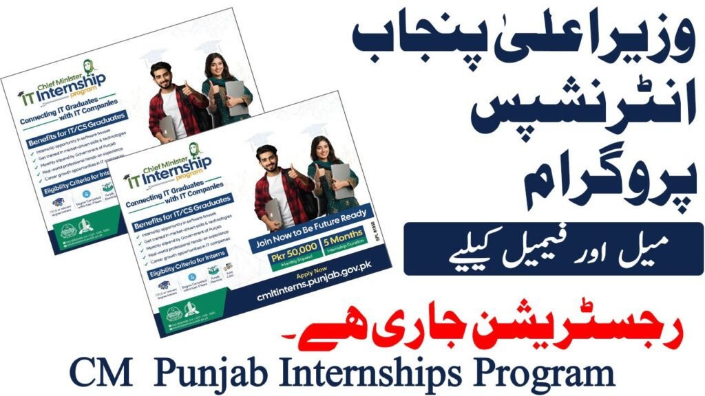 Chief Minister IT Internships Program November 2025 Commercial