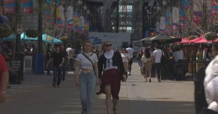 Calgarians optimistic about metropolis’s future, query worth for tax {dollars} forward of finances – Calgary Calgarians optimistic about metropolis’s future, query worth for tax {dollars} forward of finances – Calgary