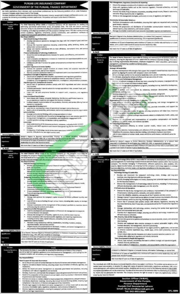 Finance Division Punjab Jobs 2025 Profession Alternatives
