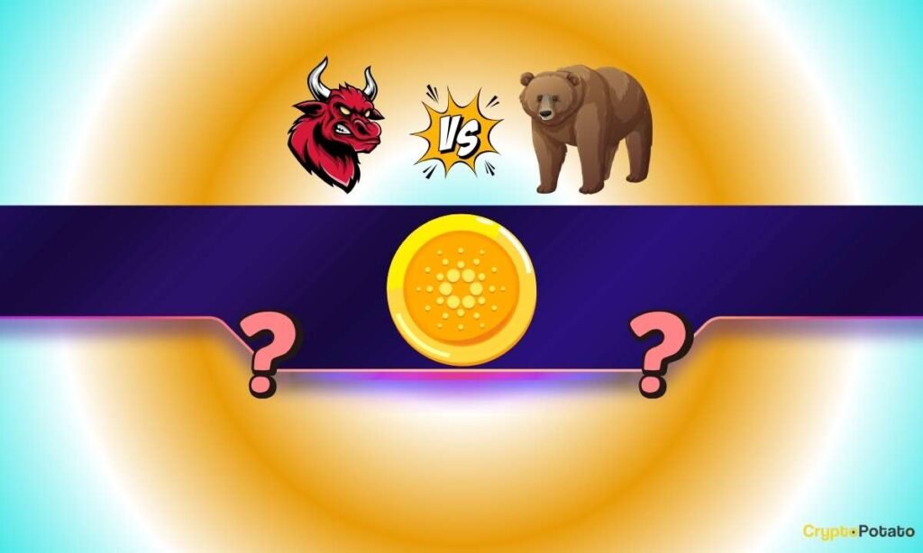 20% Drop or 50% Rally Forward? 20% Drop or 50% Rally Forward?