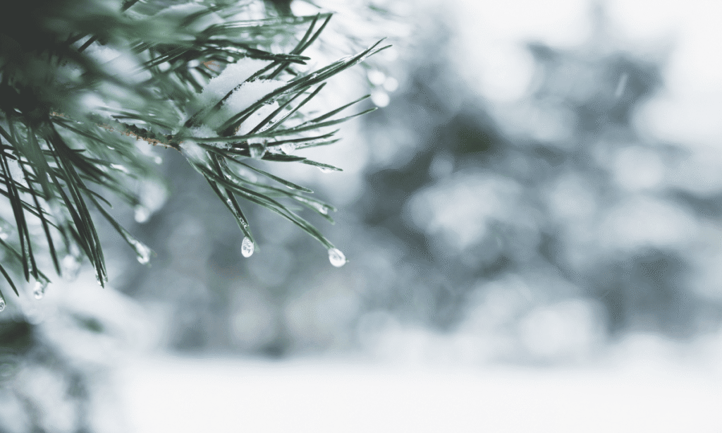 Crypto Buying and selling Exercise Hits Yearly Lows as Vacation Lull Freezes Markets