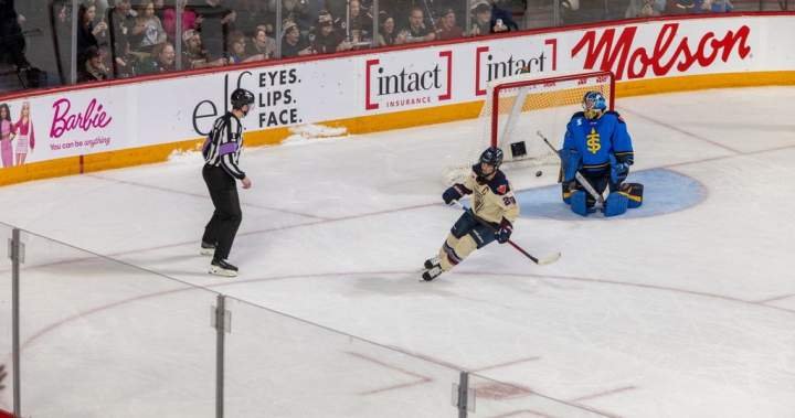 Native PWHL stars hope Takeover Tour in Halifax conjures up subsequent technology Native PWHL stars hope Takeover Tour in Halifax conjures up subsequent technology