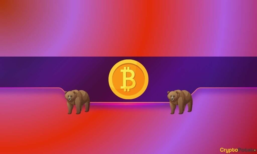 Peter Brandt Warns Bitcoin Might Drop to K–K Subsequent