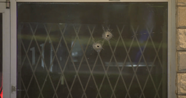 What’s occurring in Surrey is a ‘terror assault in gradual movement,’ B.C. premier says – BC What’s occurring in Surrey is a ‘terror assault in gradual movement,’ B.C. premier says – BC