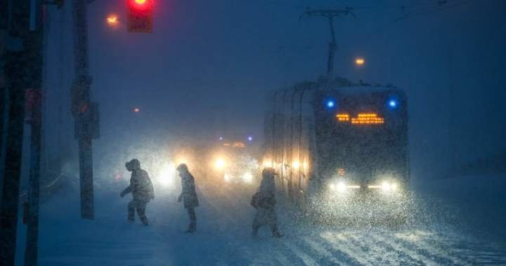 Seniors battle with chilly and loneliness in freezing temperatures and heavy snowfall Seniors battle with chilly and loneliness in freezing temperatures and heavy snowfall