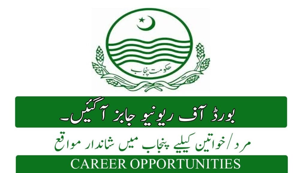 Board of Income Authorities of Punjab Jobs January 2026 Commercial