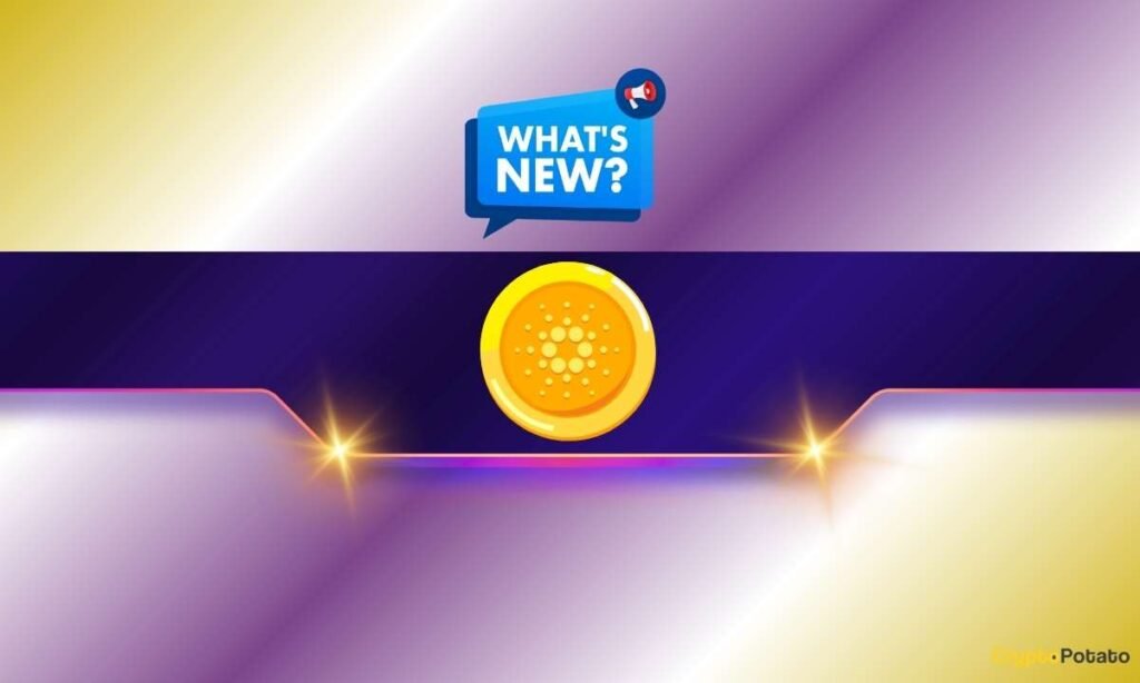 Cardano (ADA) Information In the present day: January twenty second Cardano (ADA) Information In the present day: January twenty second