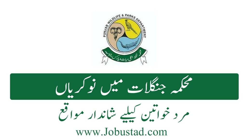 Govt of Punjab Forestry & Wildlife Division Emptiness Announcement January 2026 Commercial