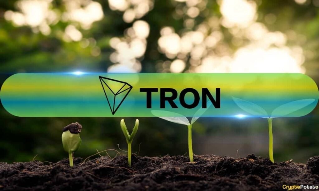 How Nicely Did the Tron Community Carry out in 2025? CryptoQuant Affords Insights