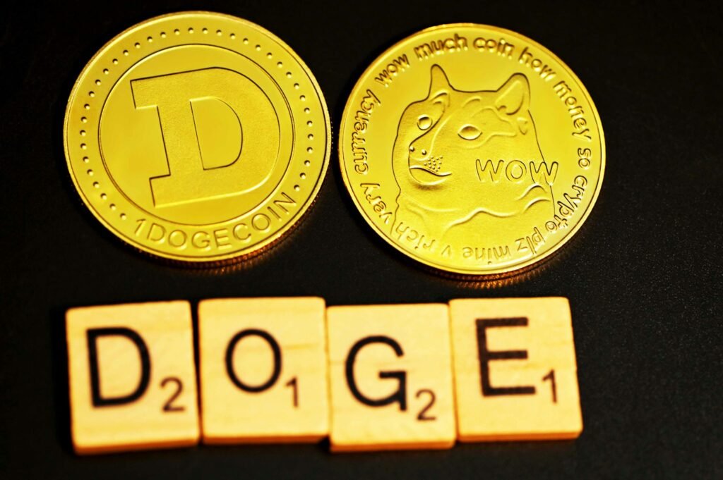 Home Of DOGE Partnership Opens New Worldwide Doorways