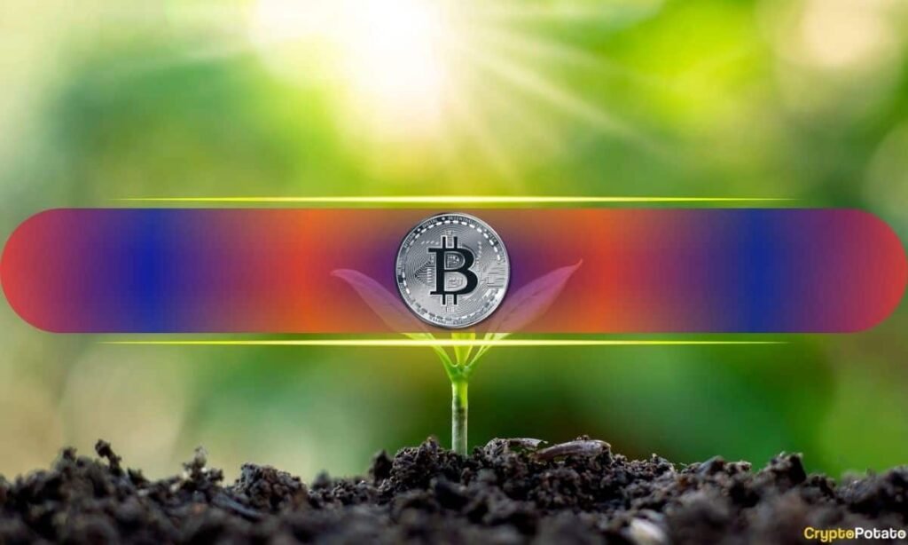 Do Bitcoin and Altcoins Have the Most Room for Development in 2026?