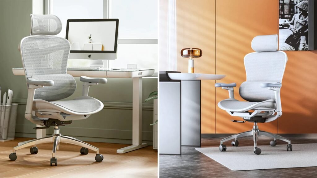 Sihoo Doro C300 Evaluate: Concord in Ergonomics