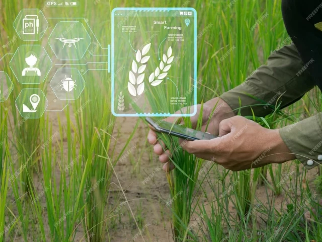 China companies eye agri funding in Pakistan China companies eye agri funding in Pakistan