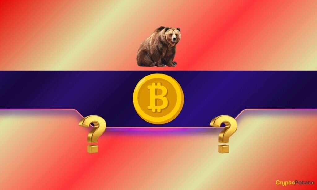 Is Bitcoin Actually in a Bear Market and The place Is the Backside? Is Bitcoin Actually in a Bear Market and The place Is the Backside?