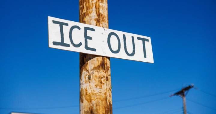 Montreal demonstrators protest Trump immigration crackdown at U.S. Consulate – Montreal Montreal demonstrators protest Trump immigration crackdown at U.S. Consulate – Montreal