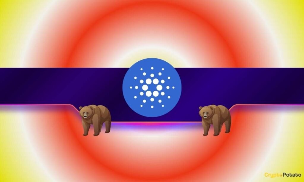 Is Cardano in Bother? Why Whales Are Abandoning Binance