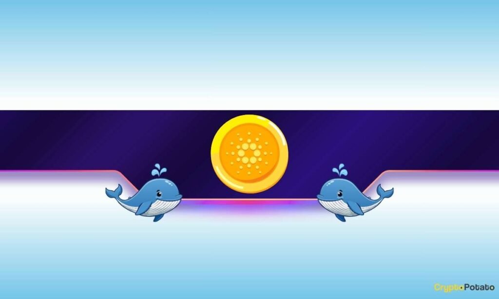 Is Cardano on the Verge of a Additional Dump?