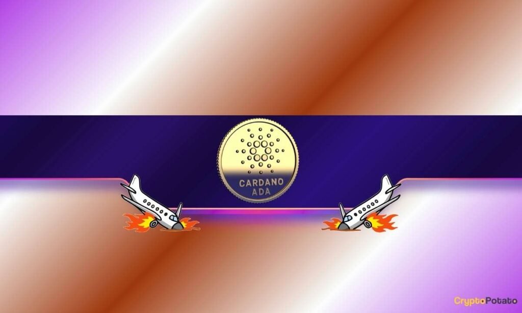 Why Cardano Buyers Are Shifting Belongings to Self-Custody Now Why Cardano Buyers Are Shifting Belongings to Self-Custody Now