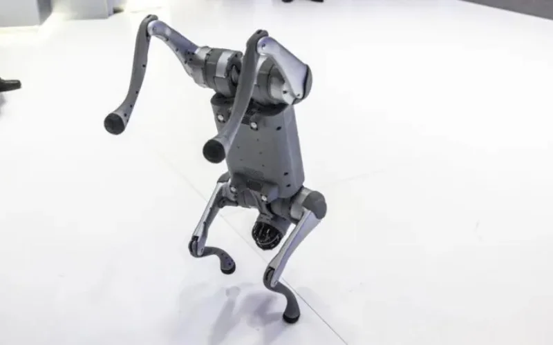 Indian college faces backlash over robotic canine declare at AI summit Indian college faces backlash over robotic canine declare at AI summit