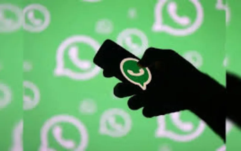 WhatsApp introduces information thrilling function WhatsApp introduces information thrilling function