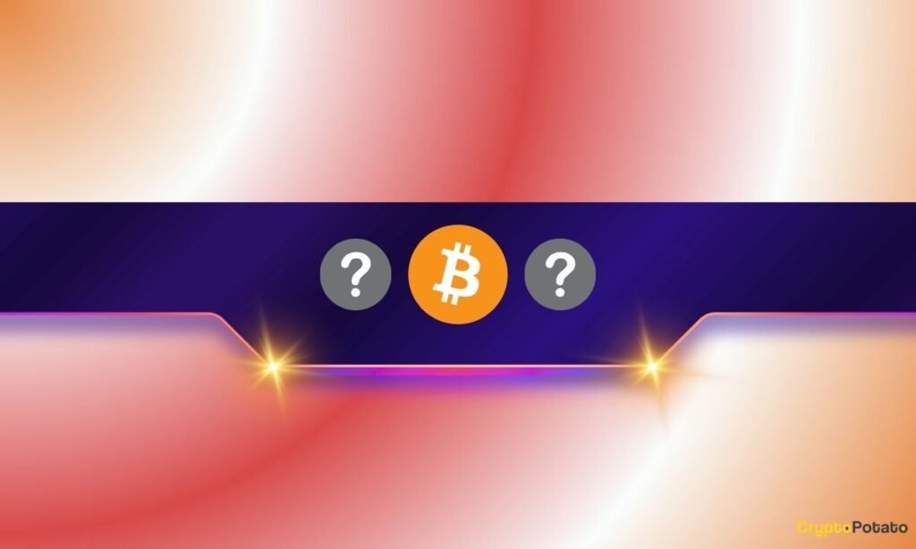 Prime Cryptocurrencies to Watch in February as Market Volatility Explodes Prime Cryptocurrencies to Watch in February as Market Volatility Explodes