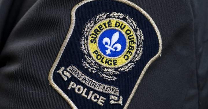 Amber Alert issued for 2 younger boys in Quebec – Montreal
