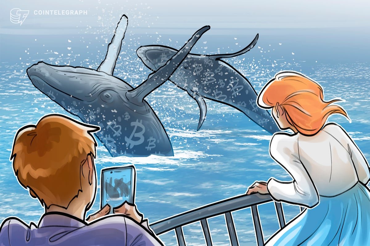 Bitcoin Whales Purchased up 61K BTC In a Month Amid International Uncertainty