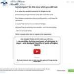 Options for Shingles cb vsl | Blue Heron Well being Information