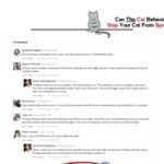 Cat Spray Cease – Up to date video in Feb 2024