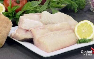 Recipe: Pan-seared halibut with citrus beurre blanc and artichoke – BC