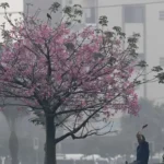 Pakistan ranked most polluted nation in 2025, information reveals – Pakistan