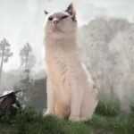 Crimson Desert Participant Has The Finest Companion: A Fats, Lazy Cat