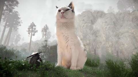 Crimson Desert Participant Has The Finest Companion: A Fats, Lazy Cat