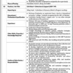Job Vacancies at Nationwide Financial institution of Pakistan NBP 2026 Job Commercial Pakistan