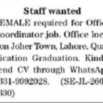 The Information Sunday Categorised Adverts 15 March 2026 for Workplace 2026 Job Commercial Pakistan