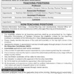 Karachi Metropolitan College KMU Jobs 2026 for Professors 2026 Job Commercial Pakistan