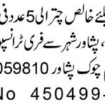 Male & Feminine Academics Jobs 2026 in Peshawar 2026 Job Commercial Pakistan