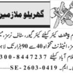 Employees Nurse & Care Giver Jobs 2026 in Lahore 2026 Job Commercial Pakistan