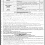 Pakistan Institute of prosthetic & Orthotics PIPOS Jobs 2026 2026 Job Commercial Pakistan