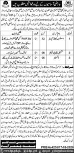 Well being Division Jaffarabad Jobs Tehsil Sanitary Inspector 2026 Job Commercial Pakistan