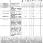 Divisional Director Well being Providers Quetta Jobs 2026 2026 Job Commercial Pakistan