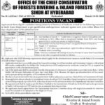 Riverine & Inland Forests Sindh at Hyderabad Jobs 2026 2026 Job Commercial Pakistan