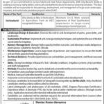 Defence Housing Authority Metropolis DHAC Karachi Jobs 2026 2026 Job Commercial Pakistan