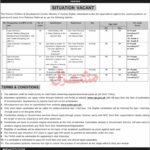 Ministry of Human Rights Jobs 2026 for Woman Teacher 2026 Job Commercial Pakistan