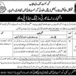 Authorities Faculty of Know-how GCT Rajanpur Jobs 2026 2026 Job Commercial Pakistan