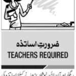 Male & Feminine Educating Employees Jobs 2026 in Islamabad 2026 Job Commercial Pakistan