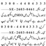 search engine optimization Professional & Graphic Designer Jobs 2026 in Lahore 2026 Job Commercial Pakistan