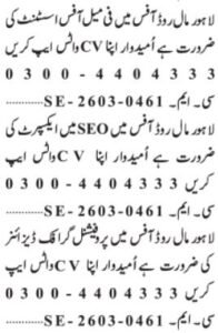 search engine optimization Professional & Graphic Designer Jobs 2026 in Lahore 2026 Job Commercial Pakistan