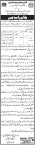 Agriculture Extension Sindh Hyderabad Job 2026 2026 Job Commercial Pakistan
