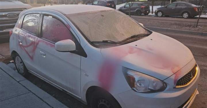 Automobiles and buildings vandalized in a single day in southeast Calgary, 3 youths arrested – Calgary